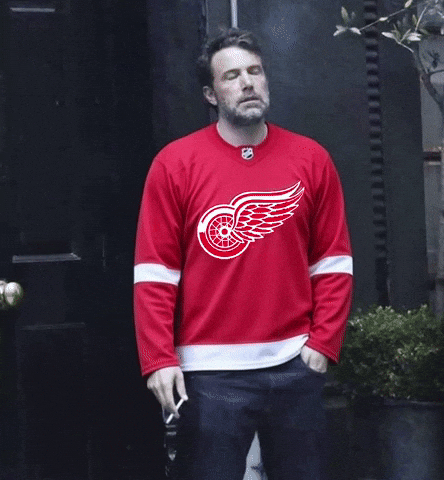 Red Wings GIF
