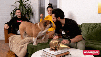 Goggleboxau2020 GIF by Gogglebox Australia