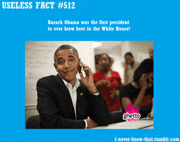 Video gif. Dark sunglasses drop over the eyes of Barack Obama grinning on a phone. Text, "Useless fact five hundred and twelve. Barack Obama was the first president to ever brew beer in the White House!" 