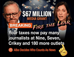 Fire The Liar GIF