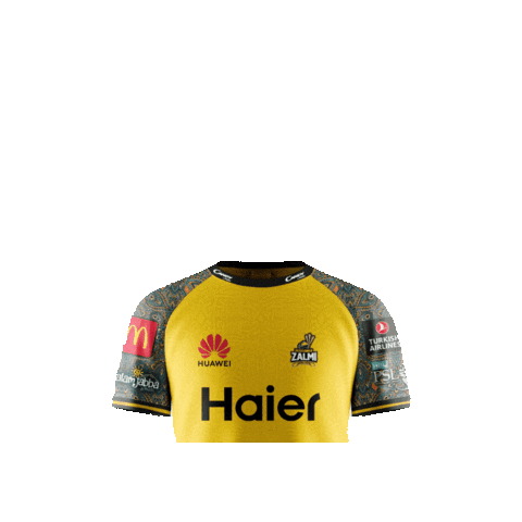 Playing Shirt Sticker by Peshawar Zalmi