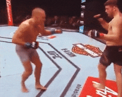 Game Over Fight GIF by Georges St-Pierre