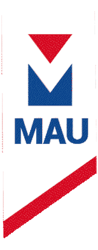 Mauro Ramirez - Remax Sticker