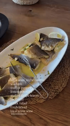GIF by Beach House Arvi
