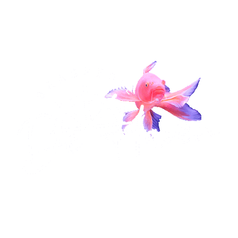 Brasserie de Haven Sticker