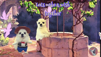 Together We Are Stronger Make A Wish GIF by Romeo Mama Online Store