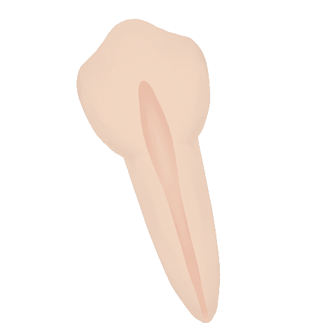 Dentista Sticker