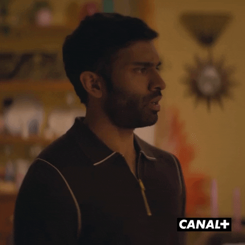 Canal Plus What GIF by CANAL+