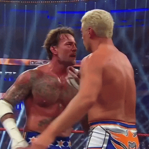 Cm Punk Wwe GIF