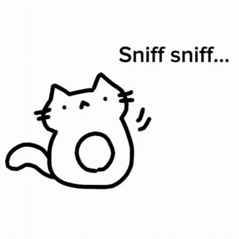 Cat Kitty GIF