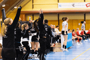 FlintTonsbergHandball yes handball victory zarko GIF