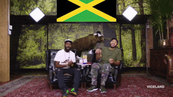Jamaican Flag Entertainment GIF by Desus & Mero