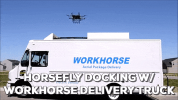thomassfl  GIF