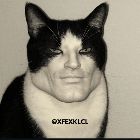 Cat Sigma GIF
