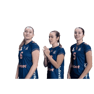 Volleyball Pate Sticker by Neptunes_VolleyBall