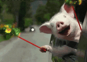 200.gif?cid=e1bb72ff5ad7549c684c42725505