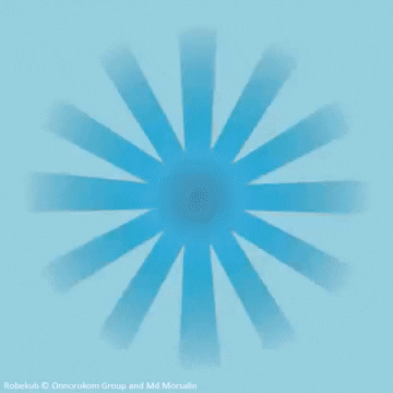 afkingshuk animation kingshuk robekub GIF