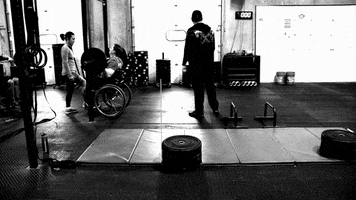 jasherman  GIF