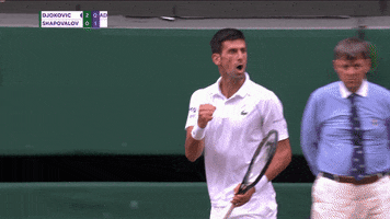 Celebrate Novak Djokovic GIF by Wimbledon