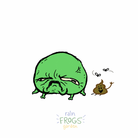 Rain Frog Poop GIF