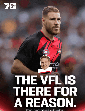 Essendon Bombers Afl GIF