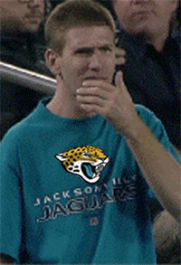 jacksonville jaguars GIF