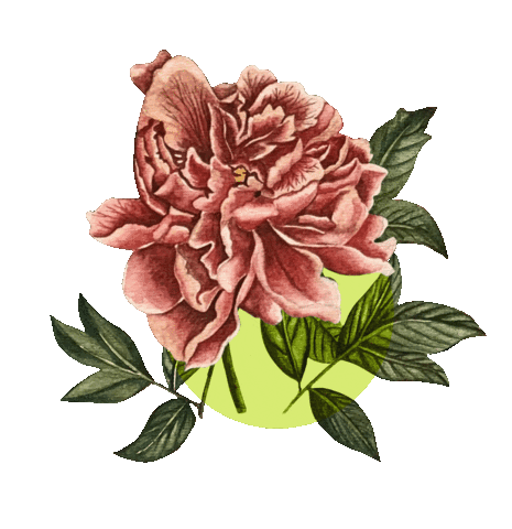 Watercolor Naturaleza Sticker