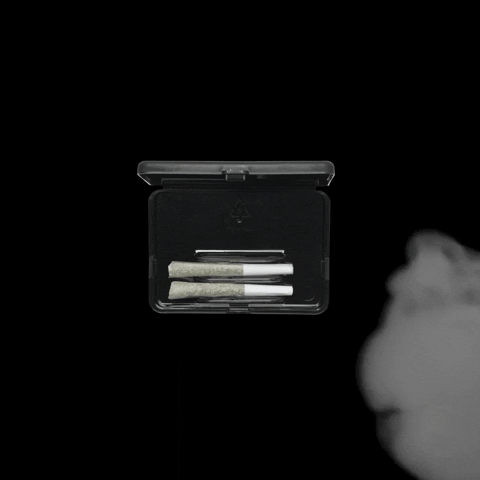 Loop Smoking GIF by Visual Smugglers