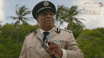 Dip Commissioner GIF by Death In Paradise