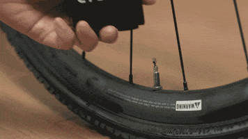 Animated GIF