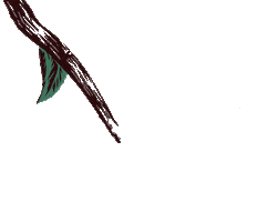 Arbol Manzanas Sticker by Cerveza Patagonia