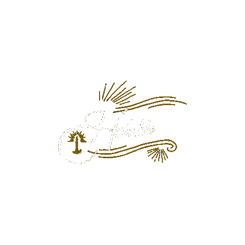 Christmas Lifechange Sticker by madisonparkcc