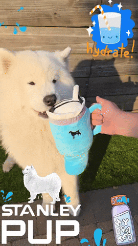 Water Drinking GIF