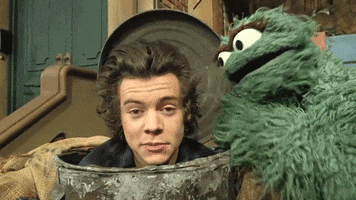 Harry Styles GIF by One Direction