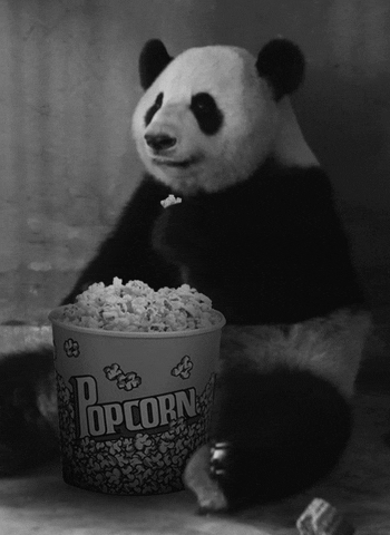 giphy.gif?cid=4d1e4f299b1bc1f99322d3481efd776f2320b19d7f071234&rid=giphy.gif