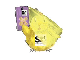 Feeling Cute Social Media Sticker by Surf Soup®