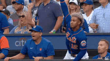 Excited Francisco Lindor GIF by New York Mets