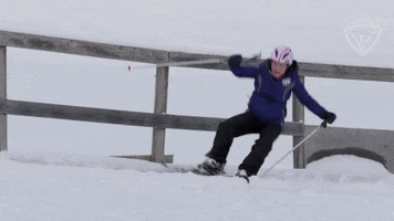 Alpine Skiing Help GIF by All-Round Champion