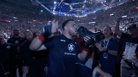 giphy-downsized-large.gif