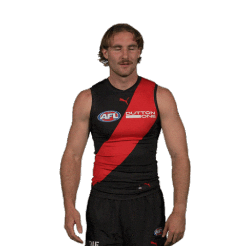 Dons Bombers Sticker by Essendon FC