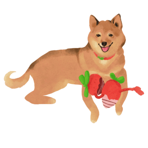 Shiba Inu Dog Sticker