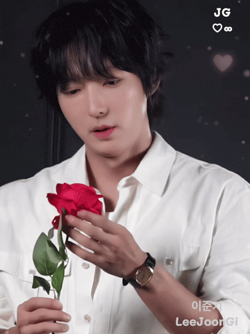 Love You Rose GIF