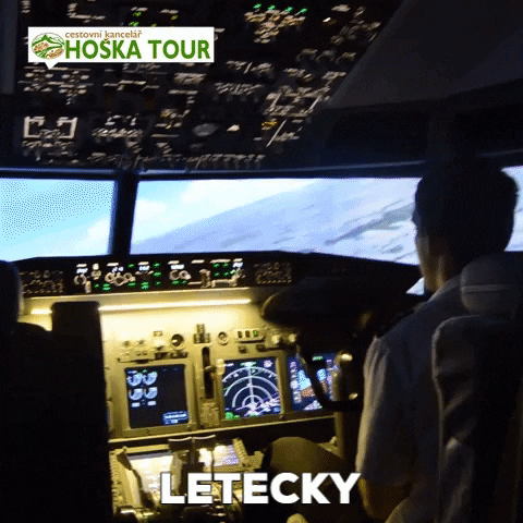 Airplane Pilot GIF by CK HOŠKA TOUR
