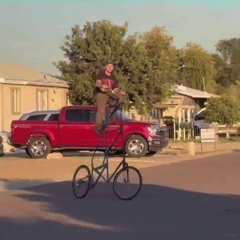 Bike Mtb GIF