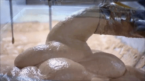 giphy.gif?cid=790b76113b33c8d2a284ad1228