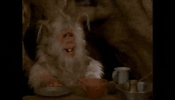 Ewok GIF