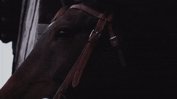Shed Headless Horseman GIF by Conner Prairie
