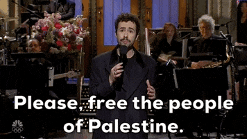 Snl Palestine GIF by Saturday Night Live
