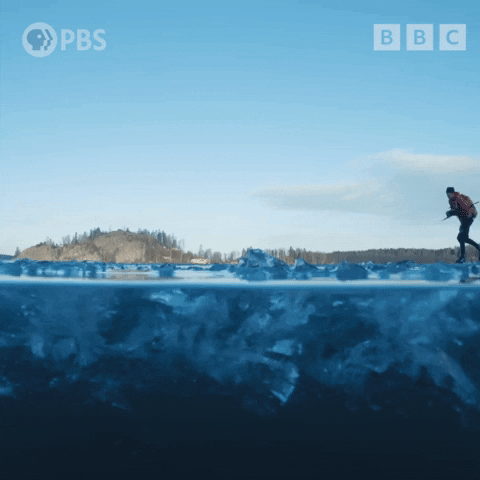 Ice Skating GIF by PBS