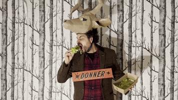 Reindeer GIF